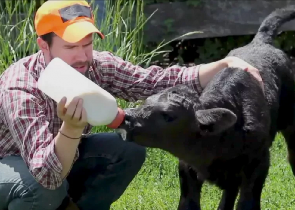 Longest-Running TV Shows Still On The Air In 2019 | Stacker